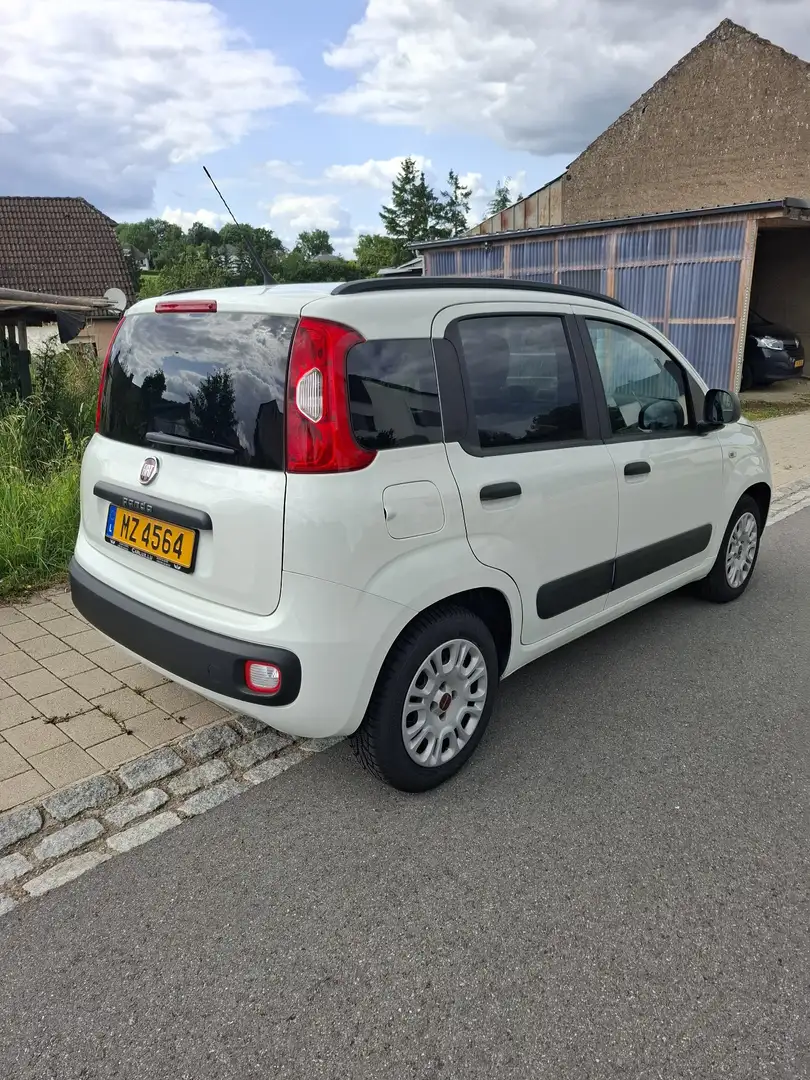 Fiat Panda 1.2 69 ch S/S Easy - 2