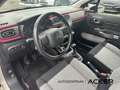 Citroen C3 Pure Tech 110 PureTech Elle RFK DAB Tempomat Beige - thumbnail 12