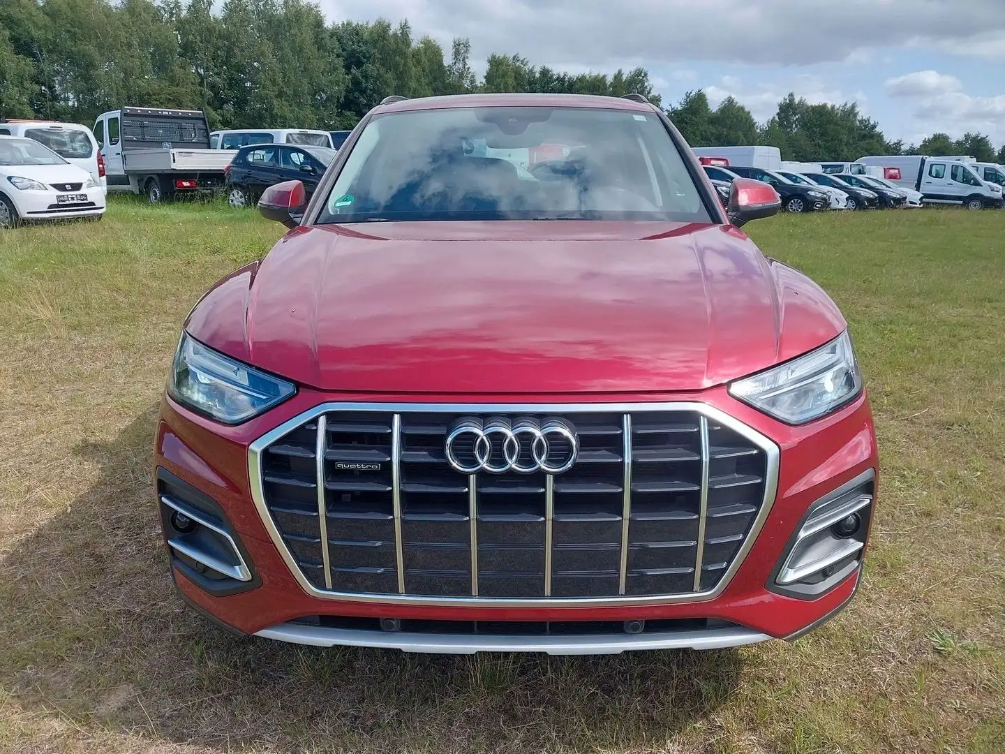 Audi Q5 50 TDI quattro /LEDER / KAMERA/ 1.HAND/ 7tkm! Rot - 2