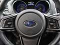 Subaru OUTBACK 2.5i Premium | Navi | Cruise | Leder | Camera | Lm Grey - thumbnail 15