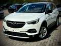 Opel Grandland X 1.5 Turbo D Edition S Bianco - thumbnail 1