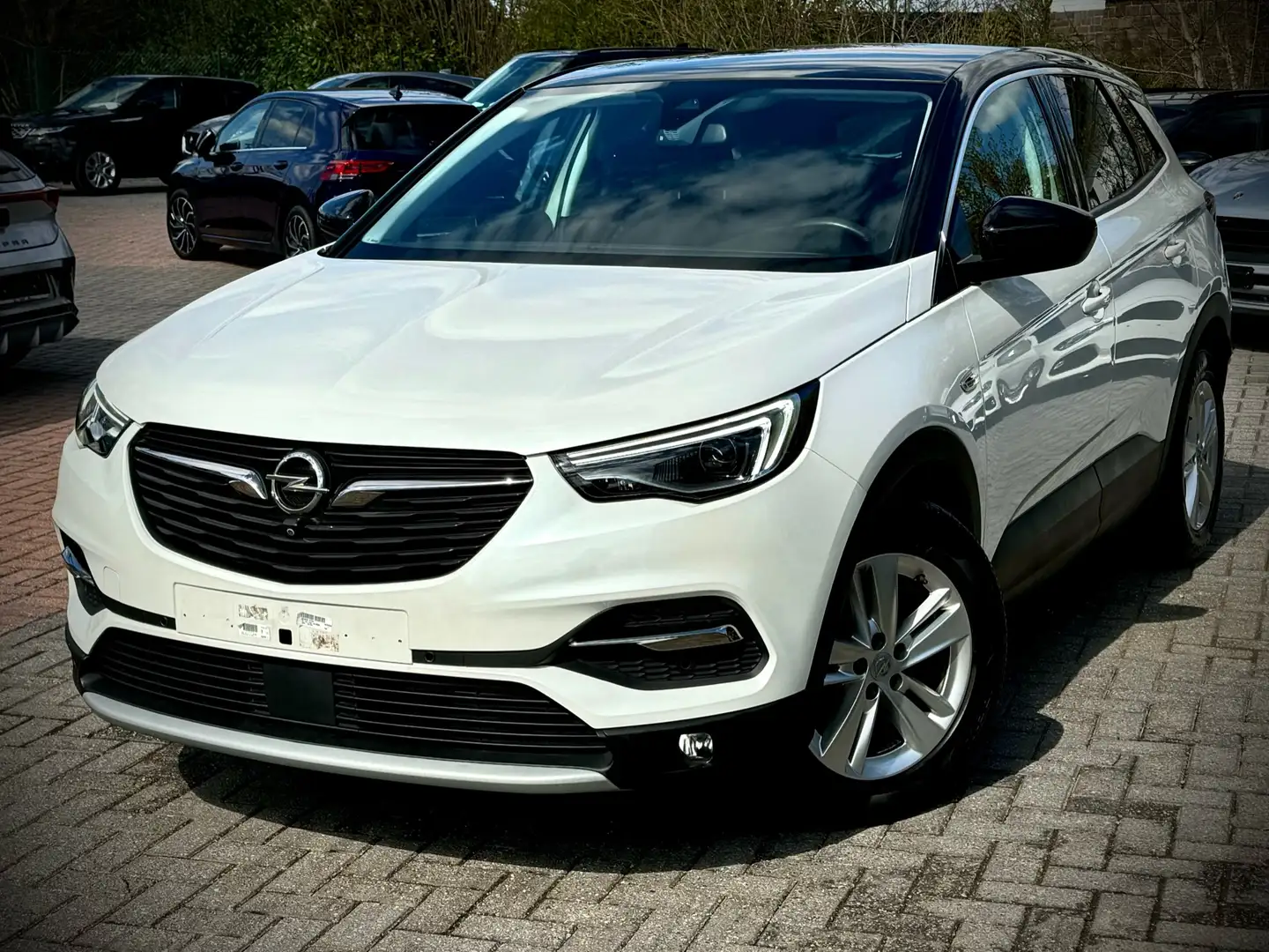 Opel Grandland X 1.5 Turbo D Edition S Weiß - 1