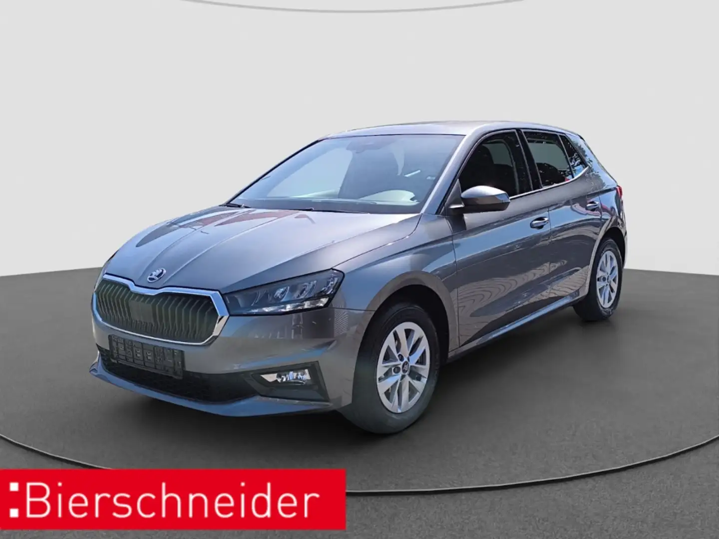 Skoda Fabia 1.0 MPI Selection LED RFK PDC Grau - 1