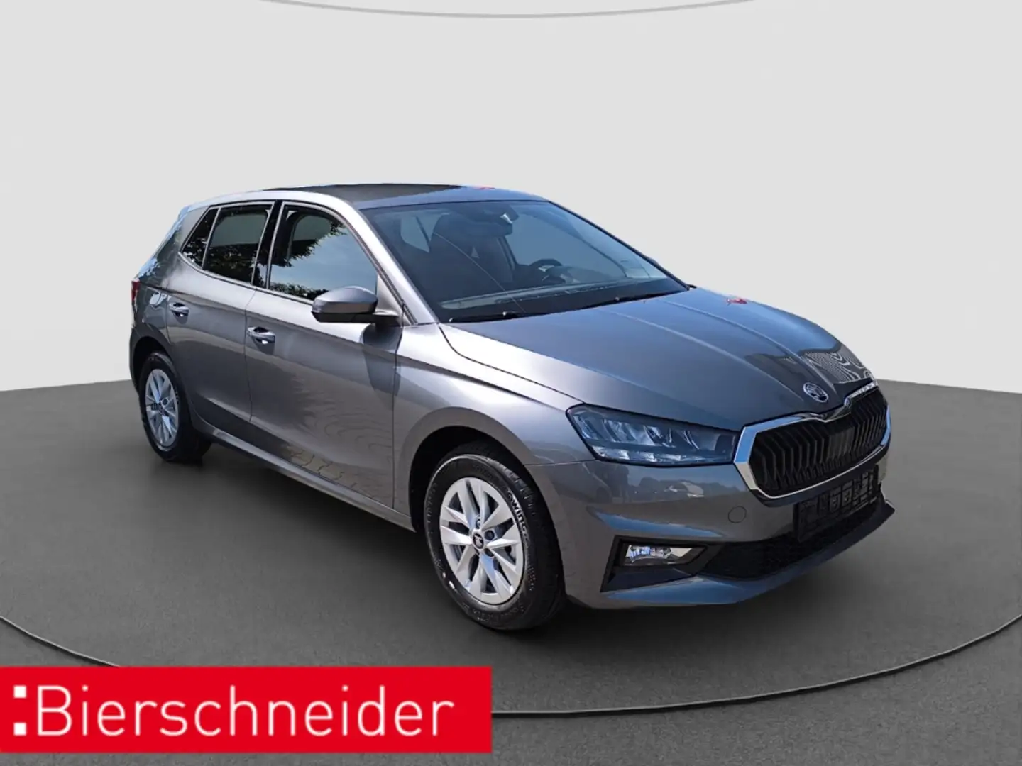Skoda Fabia 1.0 MPI Selection LED RFK PDC Grau - 2
