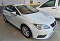 SEAT Leon Leon ST 1.4 tgi Business High 110cv Bianco - thumbnail 8