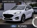 Ford Kuga ST-Line X Plug-in-Hybrid ParkAssist+ACC+B&O Klima Weiß - thumbnail 1