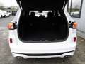 Ford Kuga ST-Line X Plug-in-Hybrid ParkAssist+ACC+B&O Klima Weiß - thumbnail 10