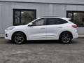Ford Kuga ST-Line X Plug-in-Hybrid ParkAssist+ACC+B&O Klima Weiß - thumbnail 2