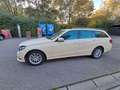 Mercedes-Benz E 200 E -Klasse T-Modell CDI BlueEfficiency Jaune - thumbnail 6