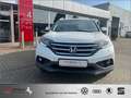 Honda CR-V 1.6i DTEC 2WD Comfort ab 49 EUR Rate/Monat Weiß - thumbnail 7