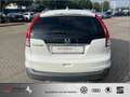 Honda CR-V 1.6i DTEC 2WD Comfort ab 49 EUR Rate/Monat Weiß - thumbnail 8
