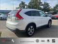 Honda CR-V 1.6i DTEC 2WD Comfort ab 49 EUR Rate/Monat Weiß - thumbnail 3