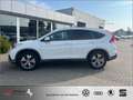 Honda CR-V 1.6i DTEC 2WD Comfort ab 49 EUR Rate/Monat Weiß - thumbnail 5