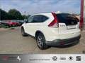 Honda CR-V 1.6i DTEC 2WD Comfort ab 49 EUR Rate/Monat Weiß - thumbnail 4