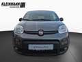 Fiat Panda Sport 1.0 GSE Hybrid *16"LM+7"TS+PDC+Klima Grau - thumbnail 4