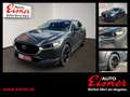 Mazda CX-30 2.5 e-SKYACTIV-G 140 M Homura ACC AUT HUD Grau - thumbnail 1