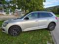 Skoda Kamiq Kamiq 1,0 TSI Monte Carlo DSG Monte Carlo Silber - thumbnail 36