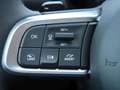 Fiat 600 Hybrid 1.2 DCT Navi PDC *125 Jahre Edition* Grün - thumbnail 17