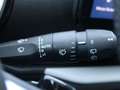 Fiat 600 Hybrid 1.2 DCT Navi PDC *125 Jahre Edition* Grün - thumbnail 19