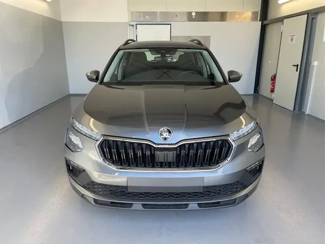 Skoda Kamiq view 2