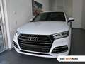 Audi Q5 55 TFSI e quattro Sport Weiß - thumbnail 1