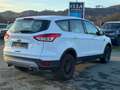 Ford Kuga Trend Sync/1.Hand/Klima/Euro5/S.Heft/Aluflg/ Blanc - thumbnail 5