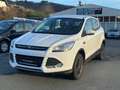 Ford Kuga Trend Sync/1.Hand/Klima/Euro5/S.Heft/Aluflg/ Blanc - thumbnail 1
