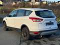 Ford Kuga Trend Sync/1.Hand/Klima/Euro5/S.Heft/Aluflg/ Blanc - thumbnail 7