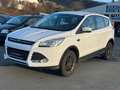 Ford Kuga Trend Sync/1.Hand/Klima/Euro5/S.Heft/Aluflg/ Blanc - thumbnail 2