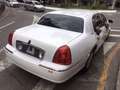 Lincoln Town Car Executive L Weiß - thumbnail 3