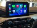 Ford Kuga Kuga 2,0 EcoBlue Cool & Connect *1. Besitz* Grau - thumbnail 22