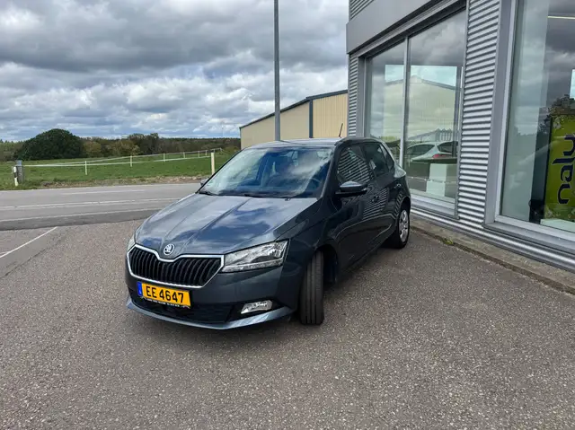 Skoda Fabia Fabia Combi 1.0 TSI DSG Style