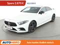 Mercedes-Benz CLS 450 CLS 450 4Matic AMG Line Aut.*NAVI*LED*ACC*360°*PDC Wit - thumbnail 1