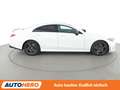 Mercedes-Benz CLS 450 CLS 450 4Matic AMG Line Aut.*NAVI*LED*ACC*360°*PDC Wit - thumbnail 7