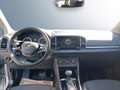 Skoda Karoq Ambition SC TSI DSG ACT Grau - thumbnail 10
