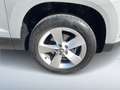 Skoda Karoq Ambition SC TSI DSG ACT Grau - thumbnail 6