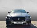Jaguar XE P250 R-Dynamic Black WINTER-PAKET TEMPOMAT LED Gris - thumbnail 9
