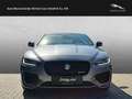 Jaguar XE P250 R-Dynamic Black WINTER-PAKET TEMPOMAT LED Gris - thumbnail 9