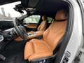 BMW X6 xDrive30d 48V Msport Wit - thumbnail 11