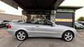Mercedes-Benz CLK 280 CLK Cabrio CLK 280*Xenon*Shz*Tempo*Leder*Navi* Argent - thumbnail 7