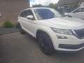 Skoda Kodiaq Ambition Blanc - thumbnail 1
