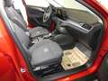 Ford Focus Turnier 1,5 EcoBlue Active Aut. Rot - thumbnail 9
