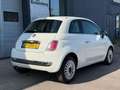 Fiat 500 1.2 Lounge, PANO, NAP, APK Wit - thumbnail 11