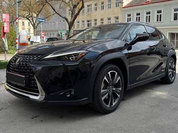 UX 250h Executive E-four 1,4kWh Aut. Executive
