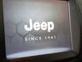Jeep Renegade Renegade 1.3 T4 240CV PHEV 4xe AT6 Trailhawk - thumbnail 30