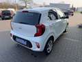 Kia Picanto 1.2 Vision*NAVI*KAMERA*SITZHZG*5TRG Білий - thumbnail 7