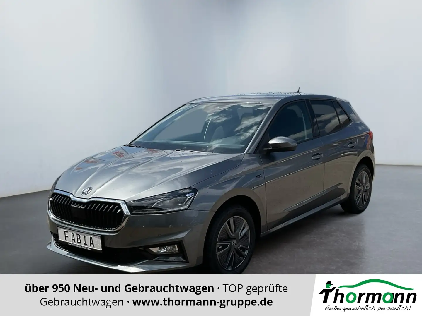 Skoda Fabia 1.0 TSI Tour Matrix 2xKlima DynLicht Kam. Grau - 1