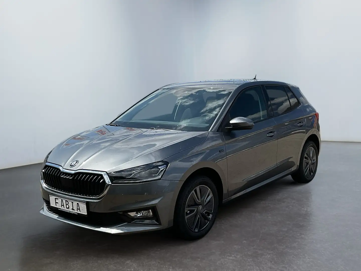 Skoda Fabia 1.0 TSI Tour Matrix 2xKlima DynLicht Kam. Grau - 2