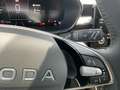 Skoda Fabia 1.0 TSI Tour Matrix 2xKlima DynLicht Kam. Grau - thumbnail 18