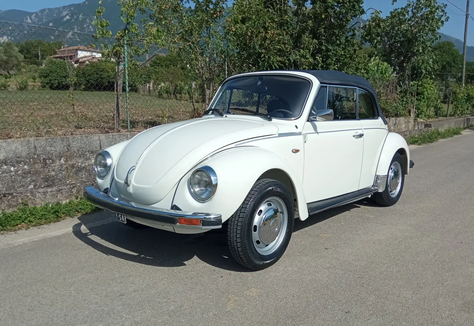 Volkswagen Maggiolino Maggiolone cabrio Alb - 1